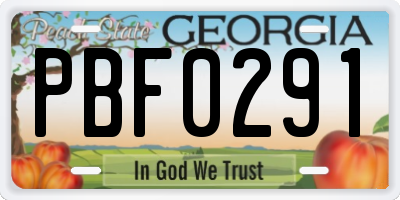 GA license plate PBF0291