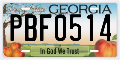 GA license plate PBF0514
