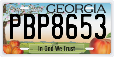 GA license plate PBP8653