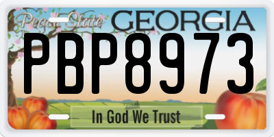 GA license plate PBP8973
