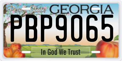 GA license plate PBP9065