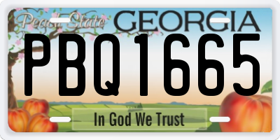 GA license plate PBQ1665