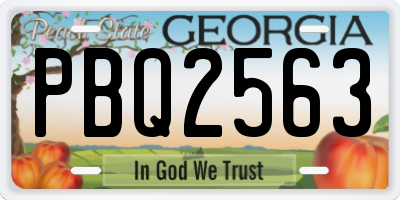 GA license plate PBQ2563
