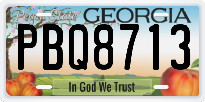GA license plate PBQ8713