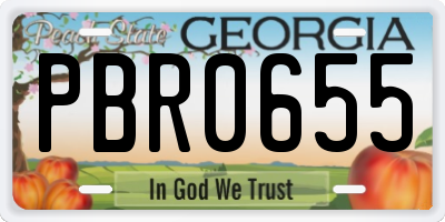 GA license plate PBR0655