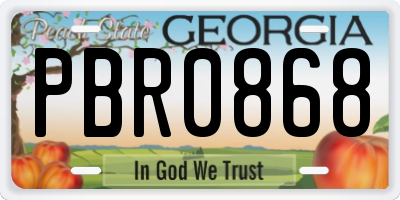GA license plate PBR0868