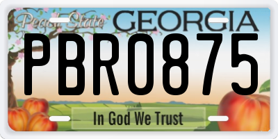 GA license plate PBR0875