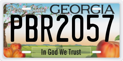 GA license plate PBR2057
