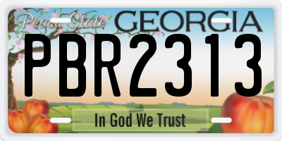 GA license plate PBR2313