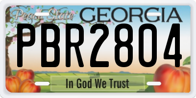 GA license plate PBR2804
