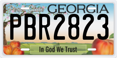 GA license plate PBR2823