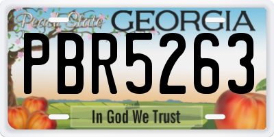 GA license plate PBR5263