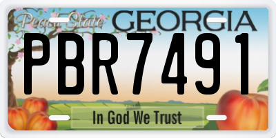 GA license plate PBR7491