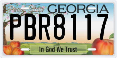 GA license plate PBR8117