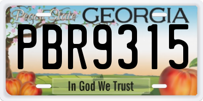 GA license plate PBR9315