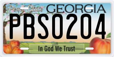 GA license plate PBS0204