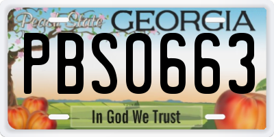 GA license plate PBS0663