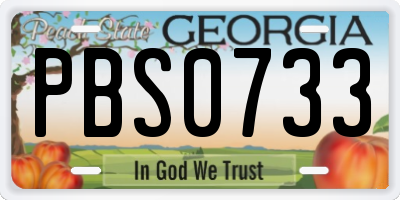 GA license plate PBS0733