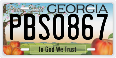 GA license plate PBS0867