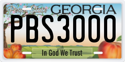 GA license plate PBS3000