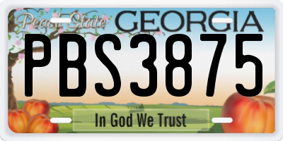 GA license plate PBS3875