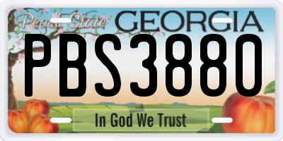 GA license plate PBS3880