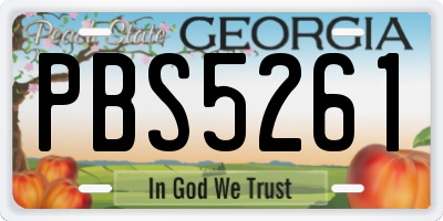 GA license plate PBS5261