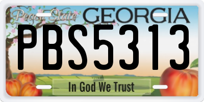 GA license plate PBS5313