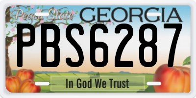 GA license plate PBS6287