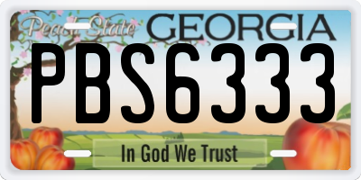 GA license plate PBS6333