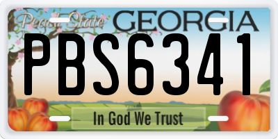GA license plate PBS6341