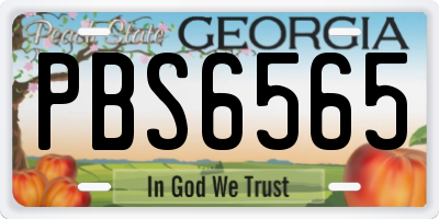 GA license plate PBS6565