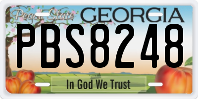 GA license plate PBS8248