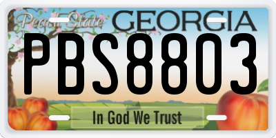 GA license plate PBS8803