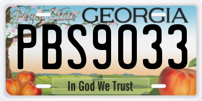 GA license plate PBS9033