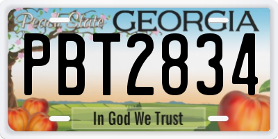 GA license plate PBT2834