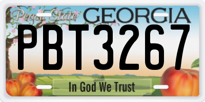 GA license plate PBT3267