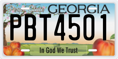 GA license plate PBT4501