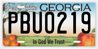 GA license plate PBU0219