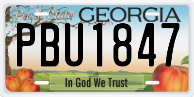 GA license plate PBU1847