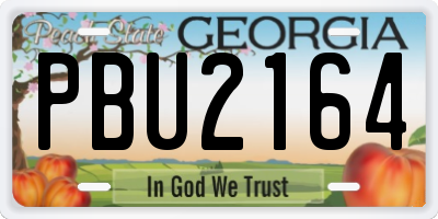 GA license plate PBU2164