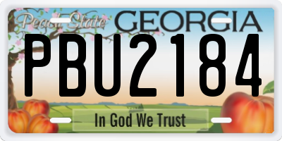 GA license plate PBU2184