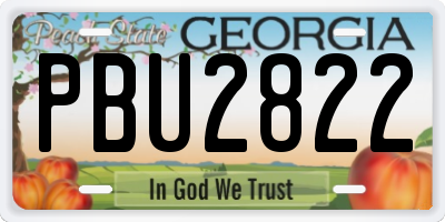 GA license plate PBU2822