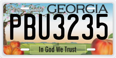 GA license plate PBU3235