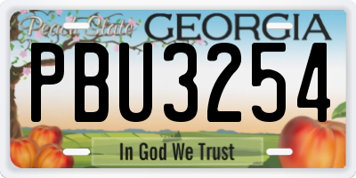 GA license plate PBU3254