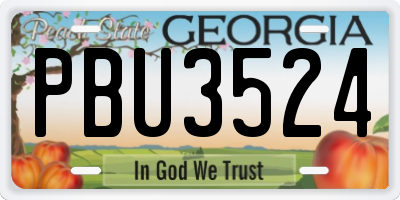 GA license plate PBU3524