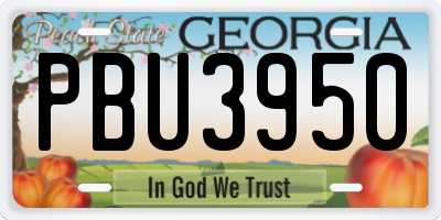 GA license plate PBU3950