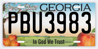 GA license plate PBU3983