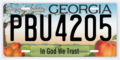 GA license plate PBU4205