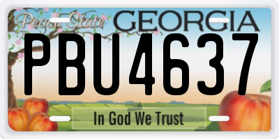 GA license plate PBU4637